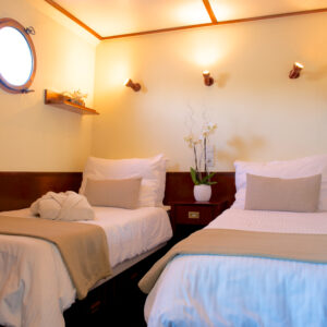 Cabin Prestige w City View – Breakfast included