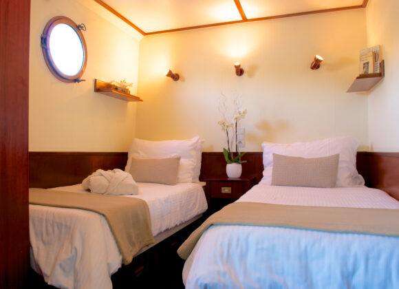 Cabin Prestige w City View – Breakfast included